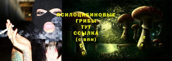 гашик Вяземский