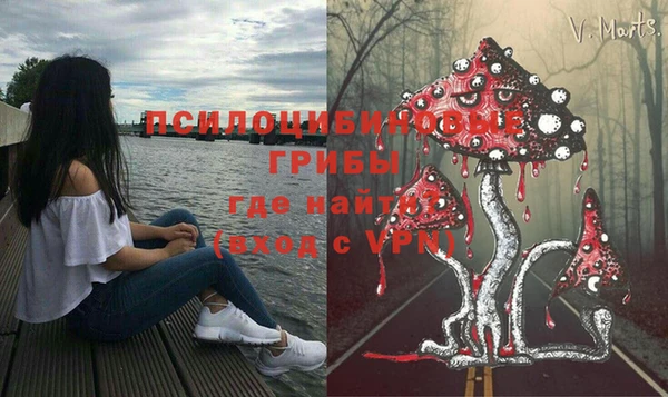 гашик Вяземский