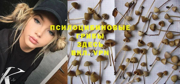 гашик Вяземский