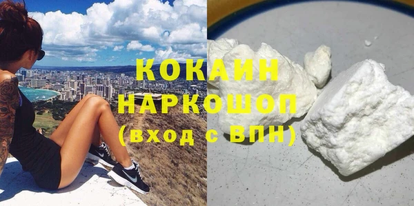 гашик Вяземский