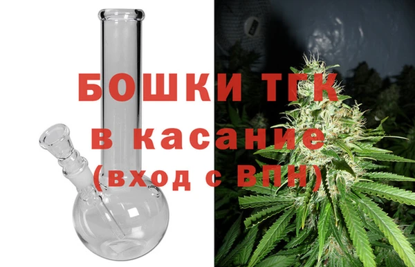 гашик Вяземский