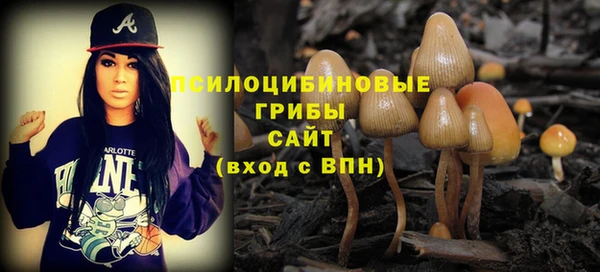 гашик Вяземский