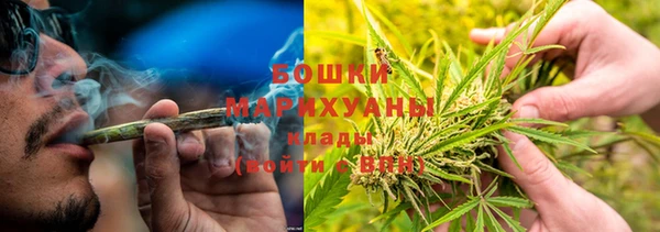 гашик Вяземский