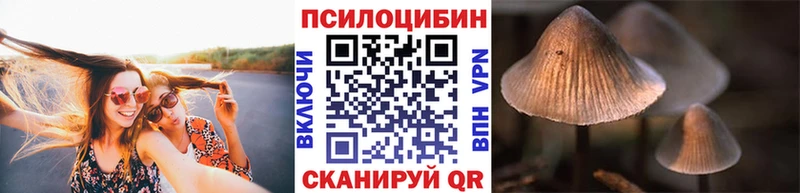 Псилоцибиновые грибы Cubensis  это формула  Волгореченск  наркошоп 